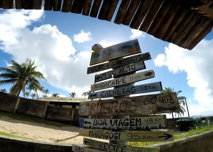 Palm Village - O Melhor de Cupe e Porto